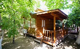 Tümü