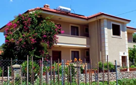Tümü