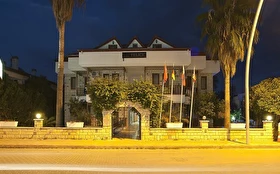 Tümü
