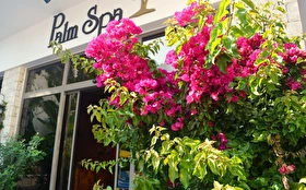 Spa & Termal