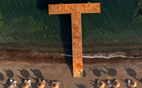 Tümü