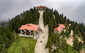 Tümü