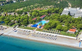 Tümü