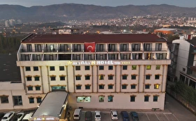 Genel