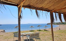 Tümü