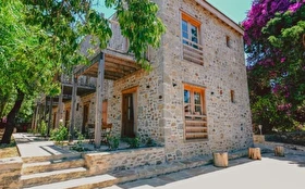 Tümü