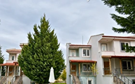 Aktivite & Eğlence