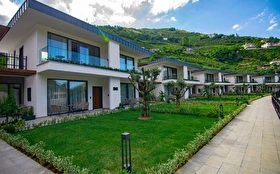 Tümü