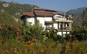 Tümü