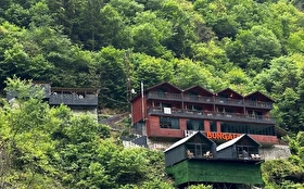Tümü