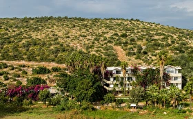 Tümü