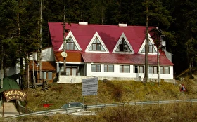 Tümü