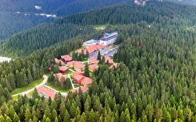 Tümü