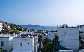 Tümü