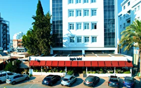 Tümü