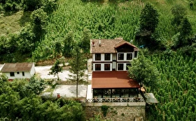 Tümü