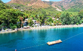 Tümü