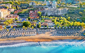 Tümü