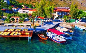 Tümü