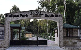 Tümü