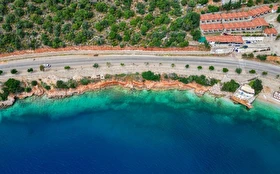 Tümü