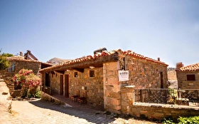 Tümü