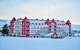 Tümü