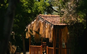 Otel Dışı
