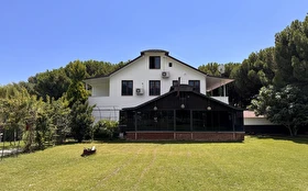 Tümü