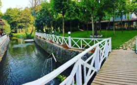 Aktivite & Eğlence