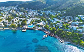 Tümü