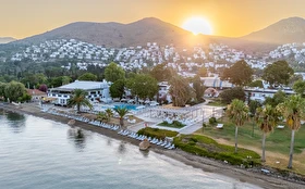 Tümü