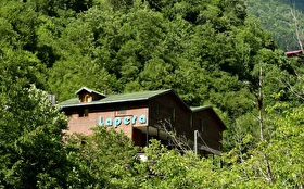 Tümü
