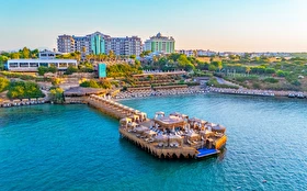 Tümü