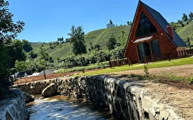Tümü