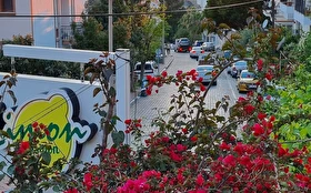Tümü