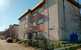 Tümü