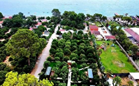 Tümü