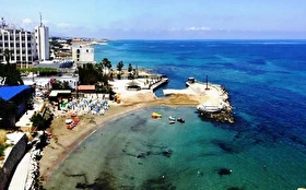 Tümü