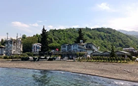 Tümü