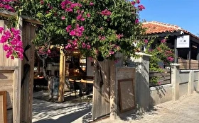 Tümü