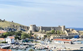 Tümü