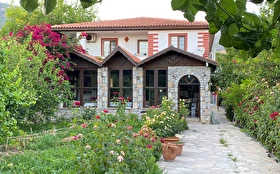 Tümü