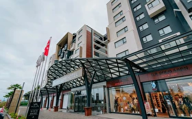 Tümü