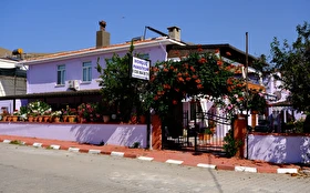 Tümü