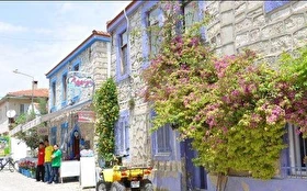 Tümü