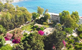 Tümü