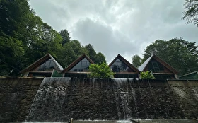 Tümü