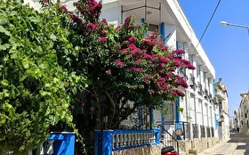 Tümü