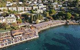 Tümü